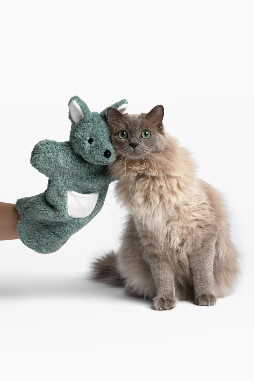 Paw Puppet Cat Toy