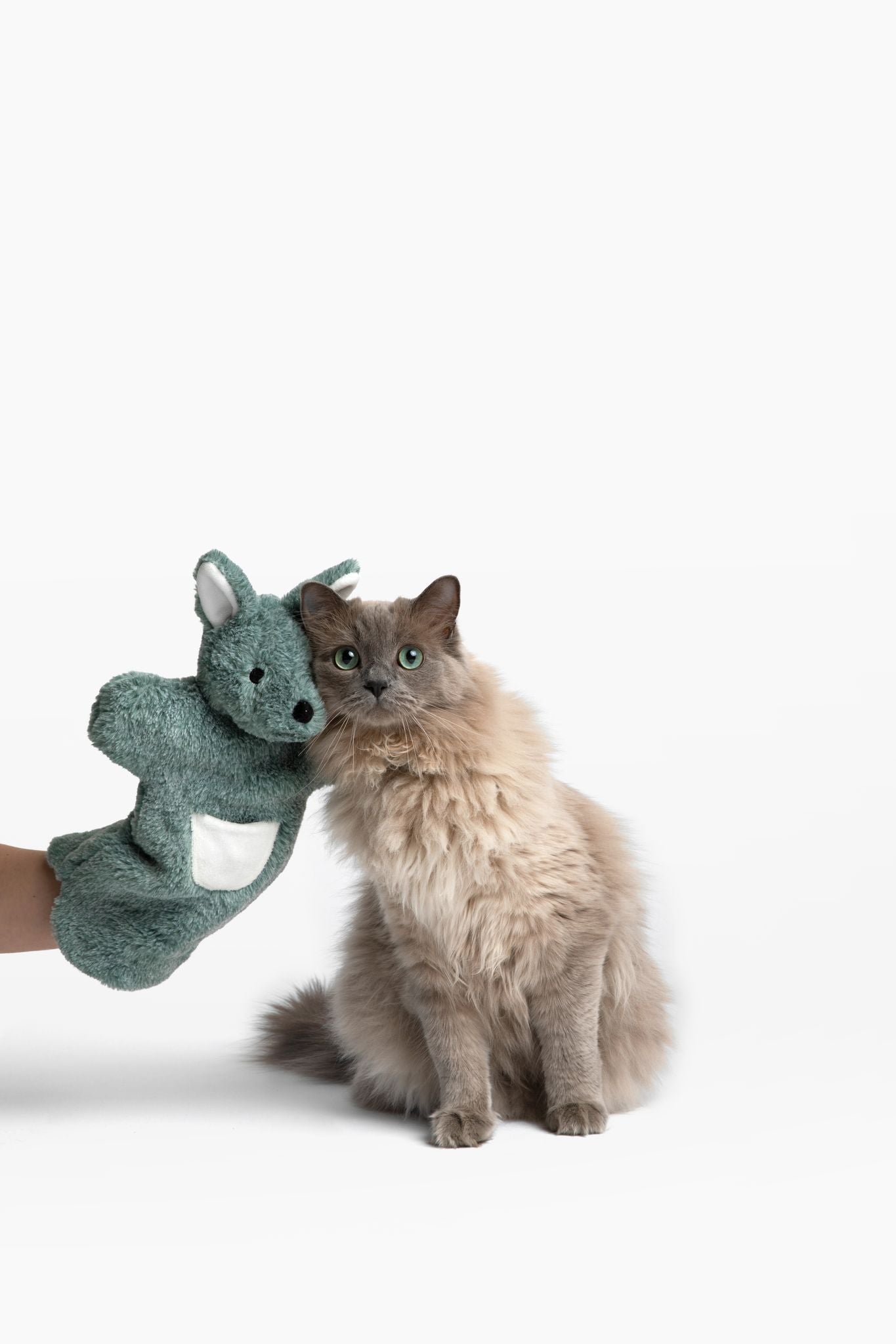 Paw Puppet Cat Toy